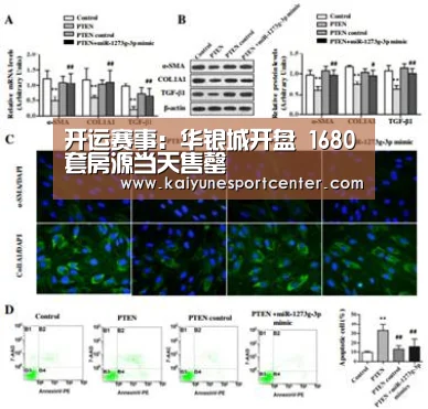开运赛事:华银城开盘 1680套房源当天售罄(图2) 开运赛事