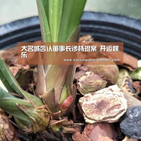 大名城否认董事长涉杨琨案_开运娱乐(图2) 开运娱乐