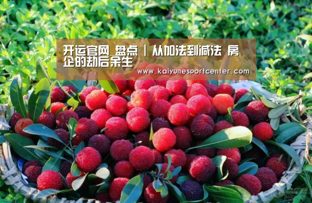开运官网_盘点 | 从加法到减法 房企的劫后余生(图1) 开运平台