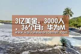 3亿美金、3000人、36个月:华为Mate30系列研发背后的珠峰之路‘开运官网’(图2) 开运平台
