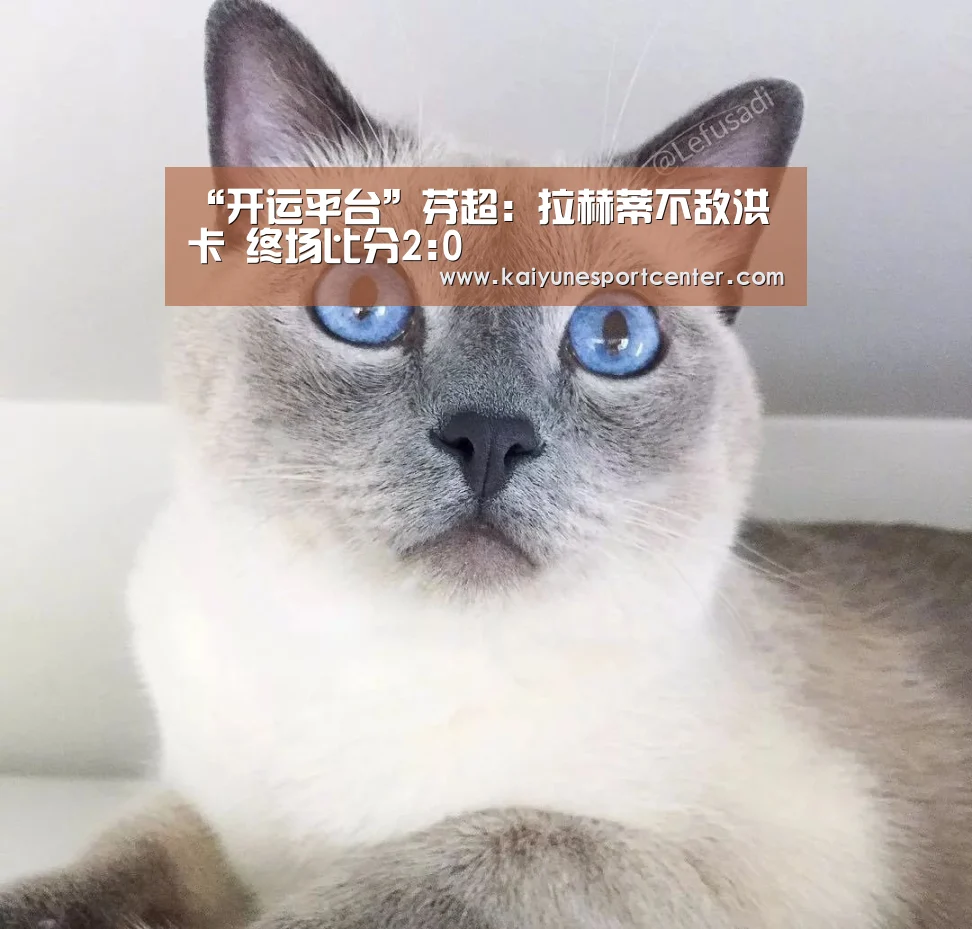 “开运平台”芬超: 拉赫蒂不敌洪卡 终场比分2:0(图1) 开运平台