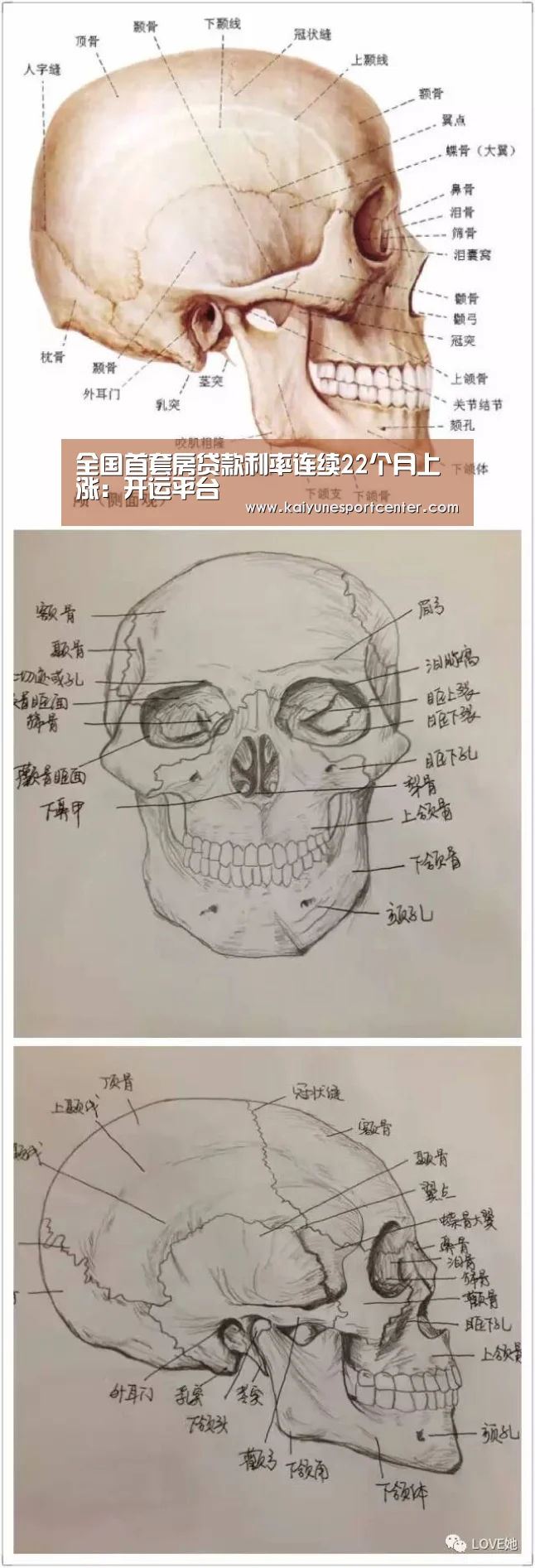 开运娱乐